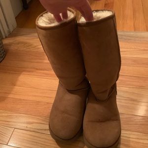Tall Chestnut Uggs Women’s 7